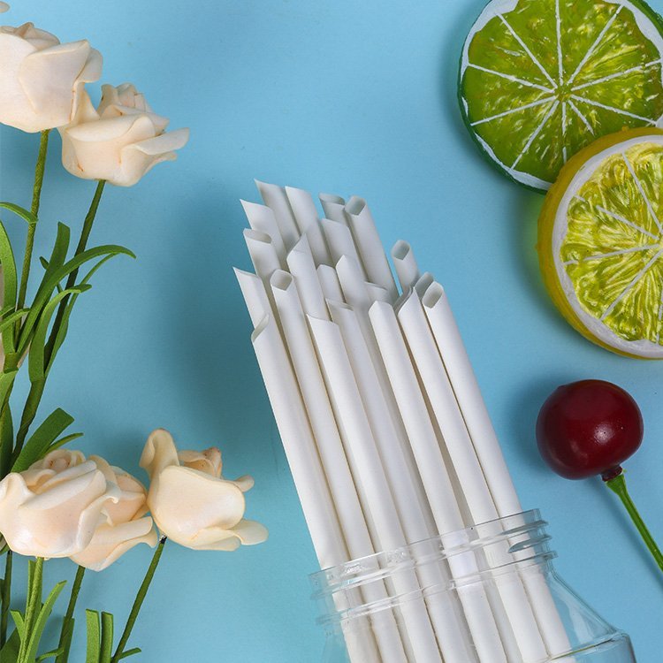 6mm Disposable Drinking Straw Bamboo Fiber Straws - Image 2